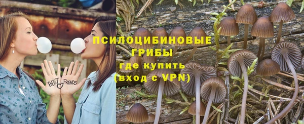 крисы Алексин