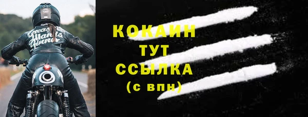 крисы Алексин
