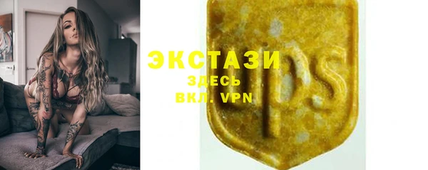 крисы Алексин