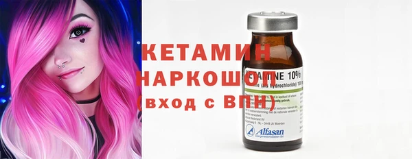крисы Алексин