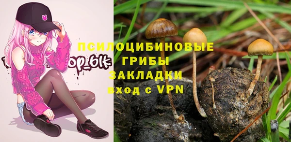 Альфа ПВП Алексеевка
