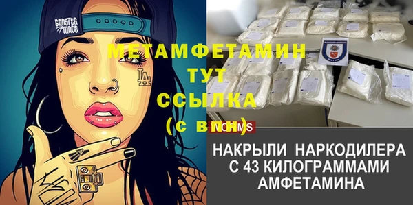 крисы Алексин