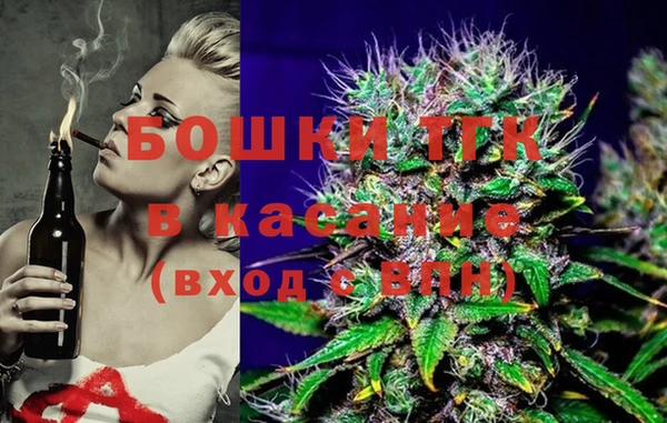 крисы Алексин