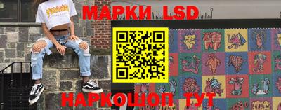 apvp Тверь