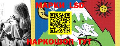 apvp Тверь