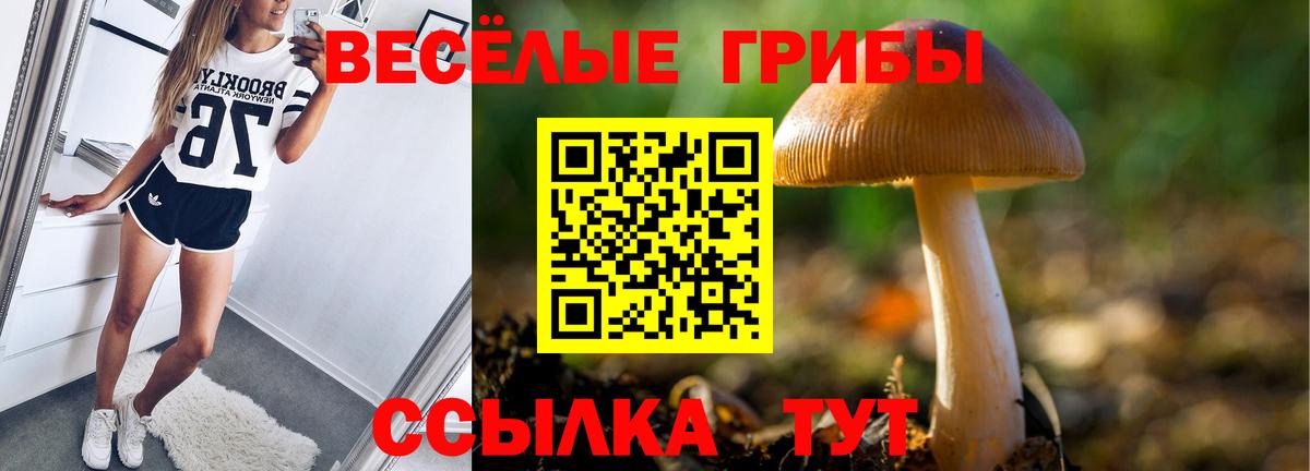 Галлюциногенные грибы Magic Shrooms  Вход с VPN  Галлюциногенные грибы Psilocybe  Алексеевка 