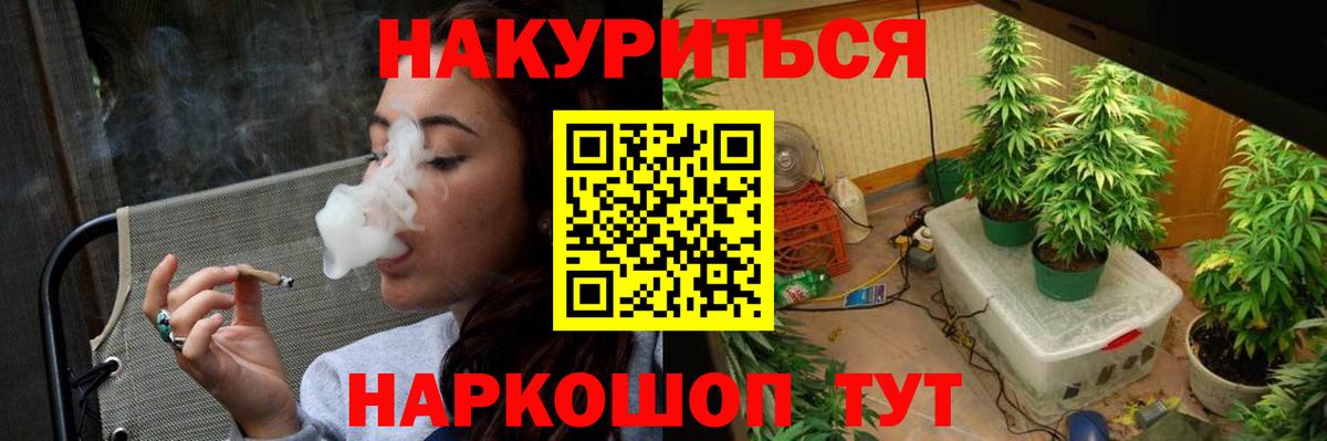 Конопля планчик Алексеевка